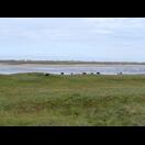 Blick vom Damm Richtung Nordsee